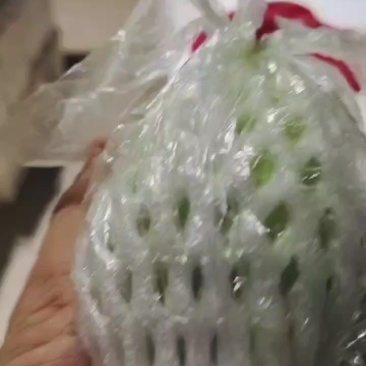 番石榴
