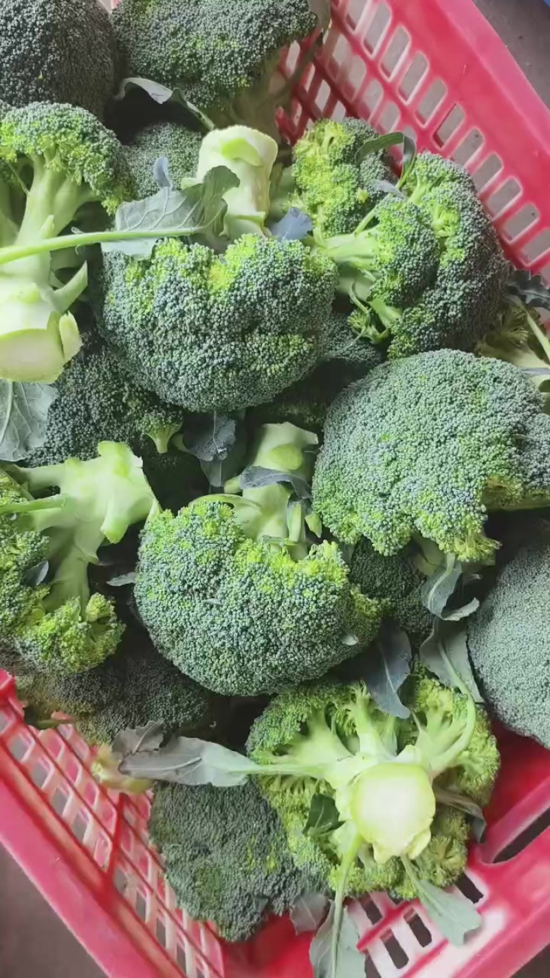 精品花菜