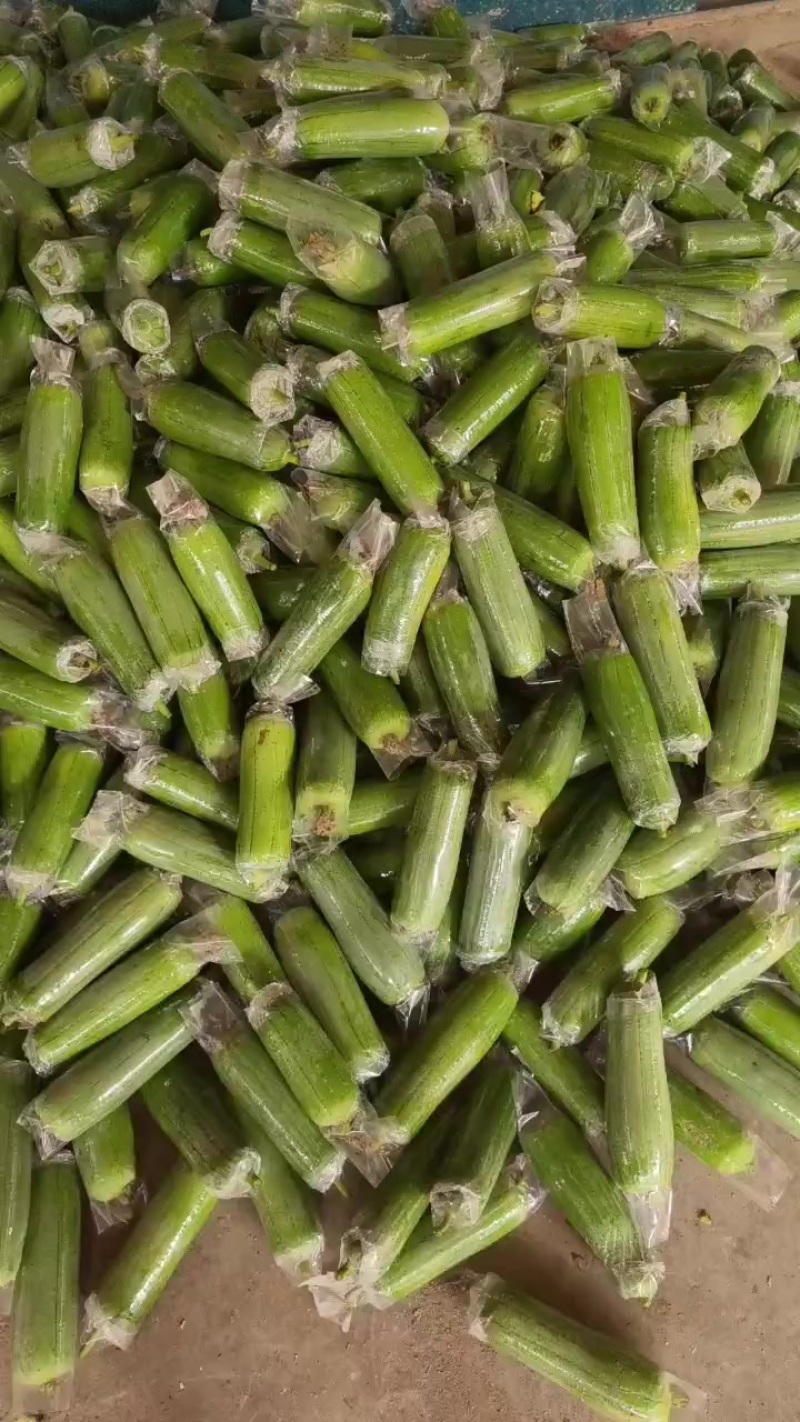 丝瓜价格便宜，