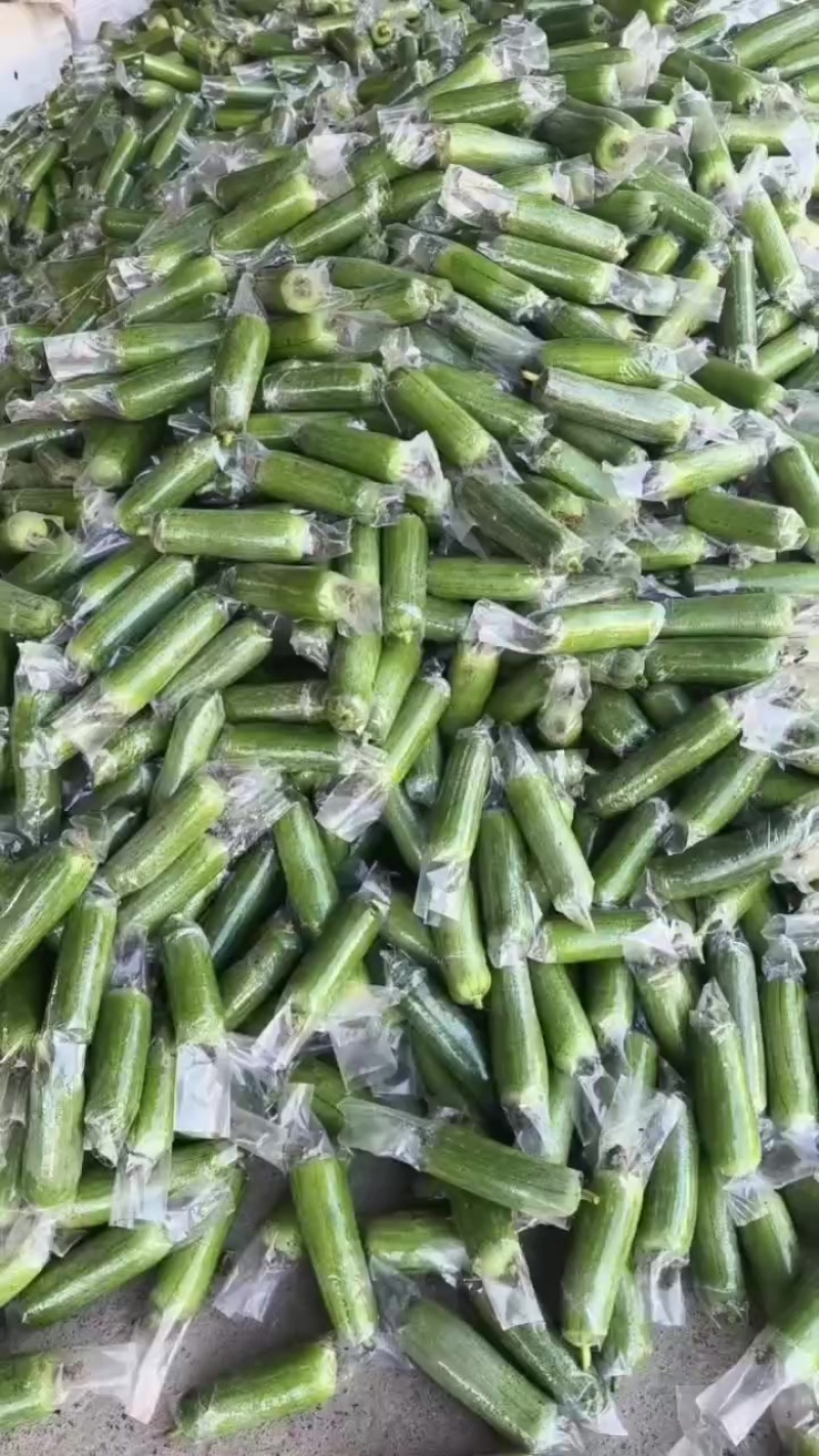 丝瓜价格便宜，