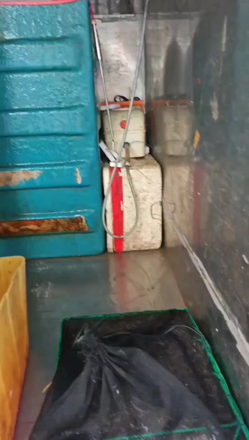 河虾新鲜上货了，100%漂亮，非常漂亮，抢手了，快点