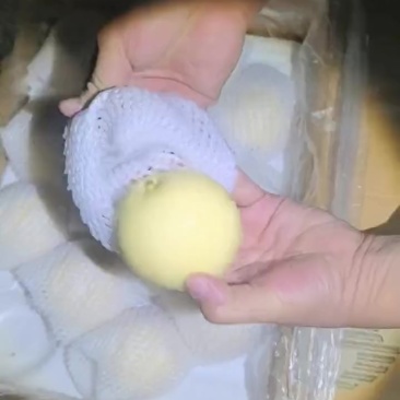 精品皇冠梨