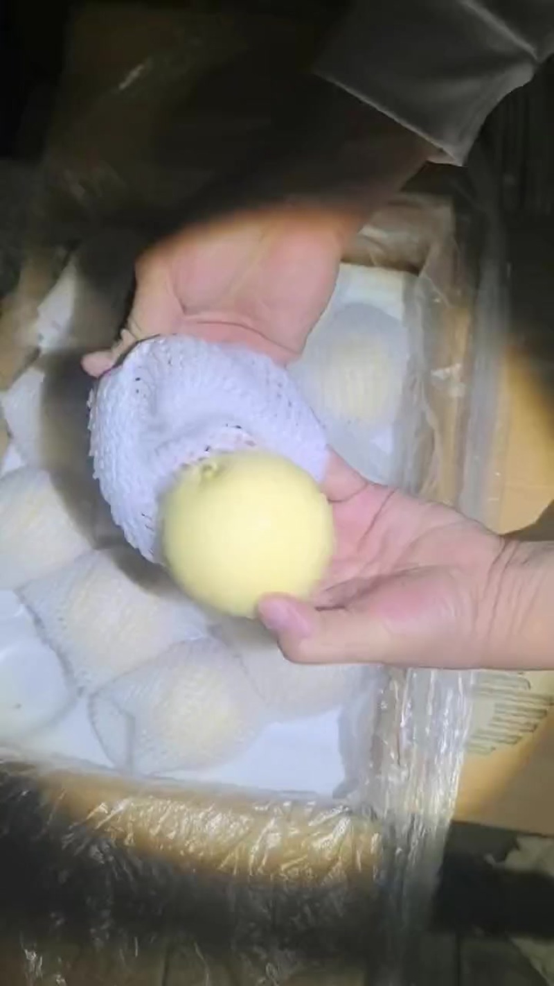 精品皇冠梨