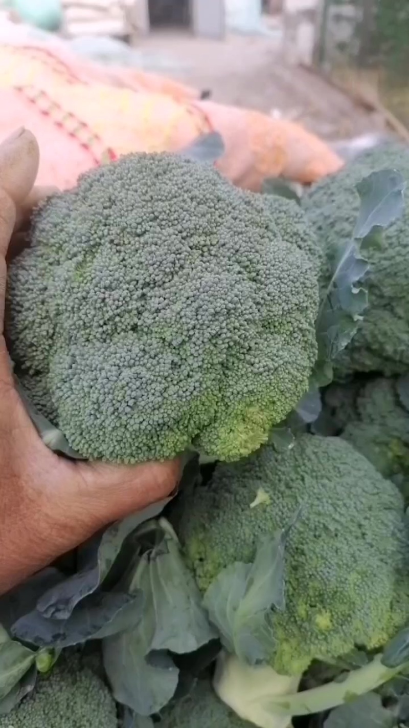 酉三花