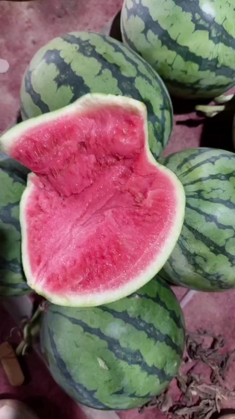 美都西瓜