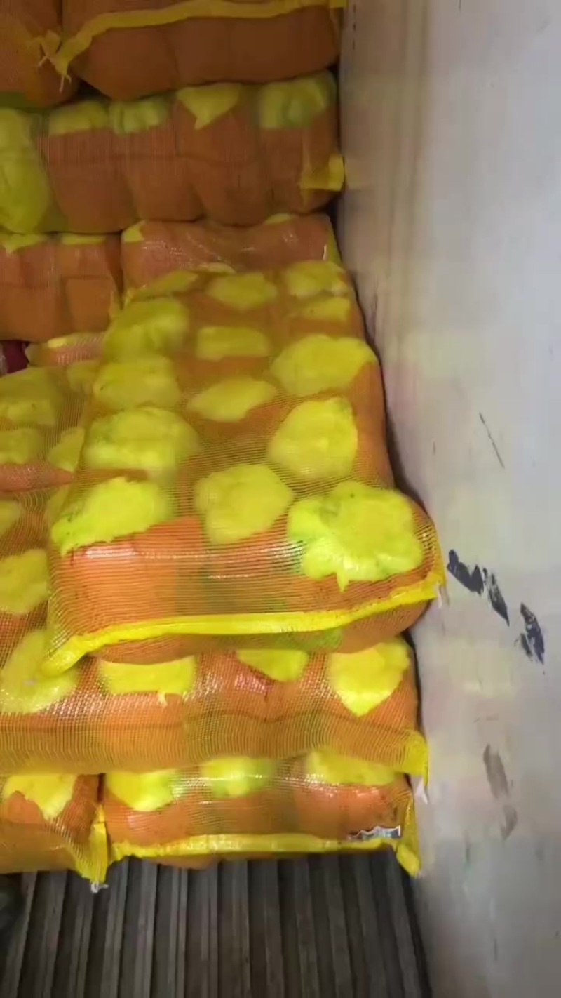 白菜黄心菜