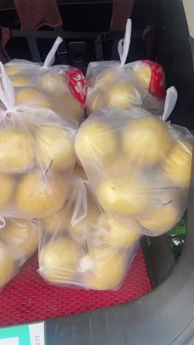 雪花梨价格实惠货源充足有意者请联系我