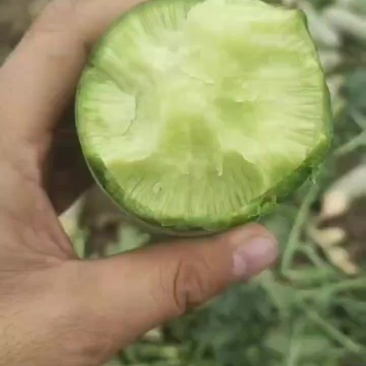 水果萝卜