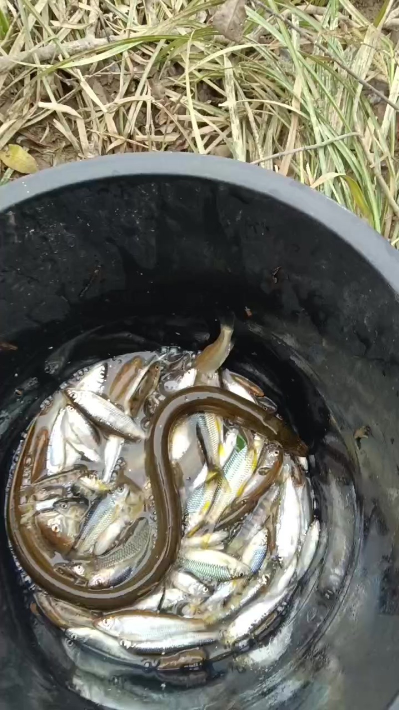 各种水产品山货