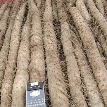 大量新鲜白玉通货