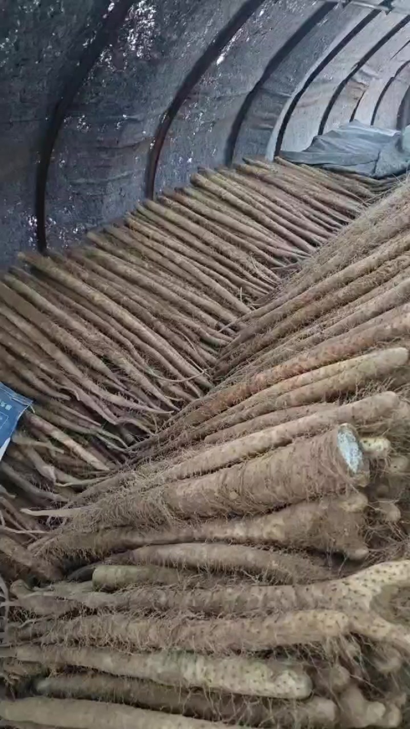大量新鲜白玉通货