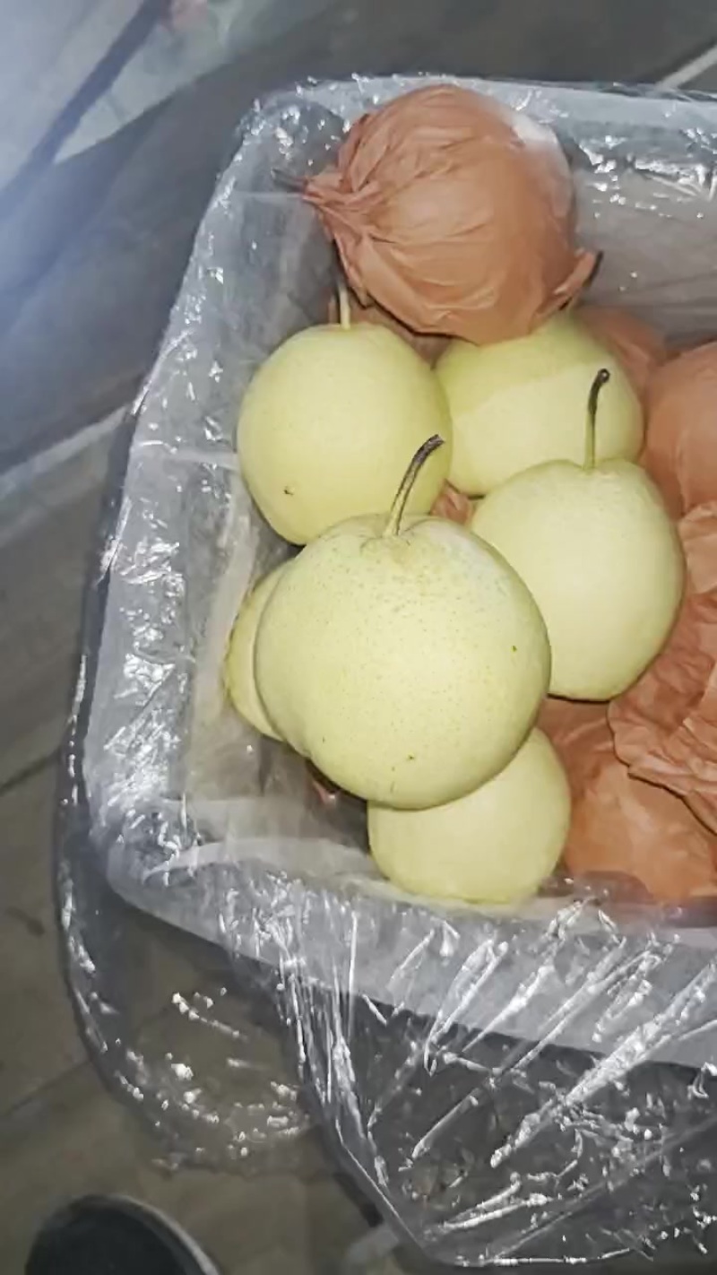 雪花梨