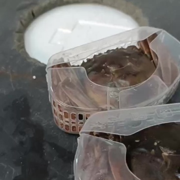 太湖精品大闸蟹公蟹。可以快递到家