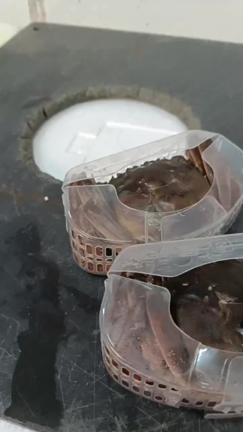 太湖精品大闸蟹公蟹。可以快递到家