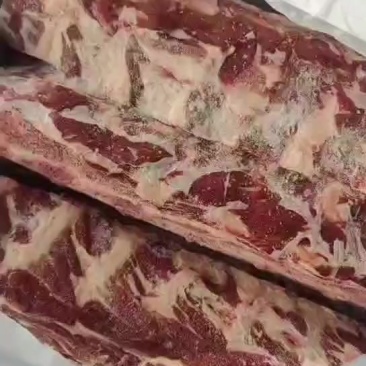 牛脊骨