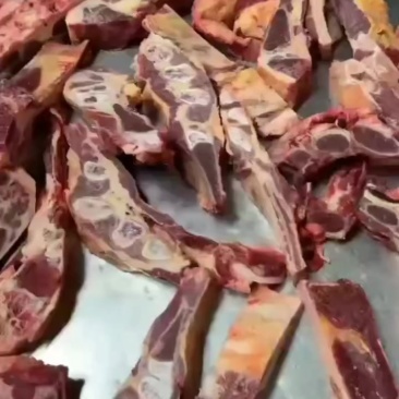 黄膘牛胸排
