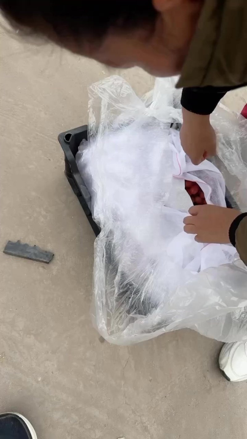 西昌克伦生葡萄脆甜
