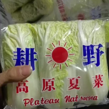 精品黄娃绿娃大量有货价格便宜