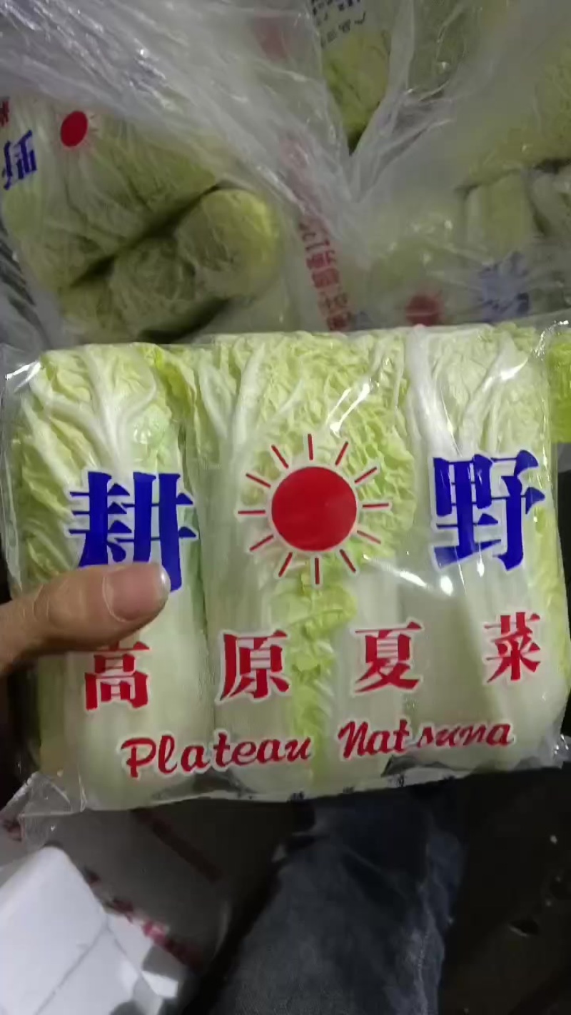 精品黄娃绿娃大量有货价格便宜