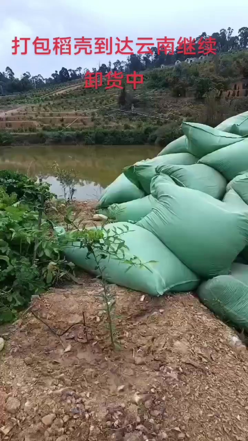 打包稻壳到达云南卸货中