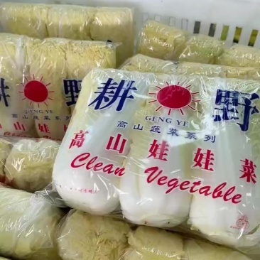 精品娃娃菜
