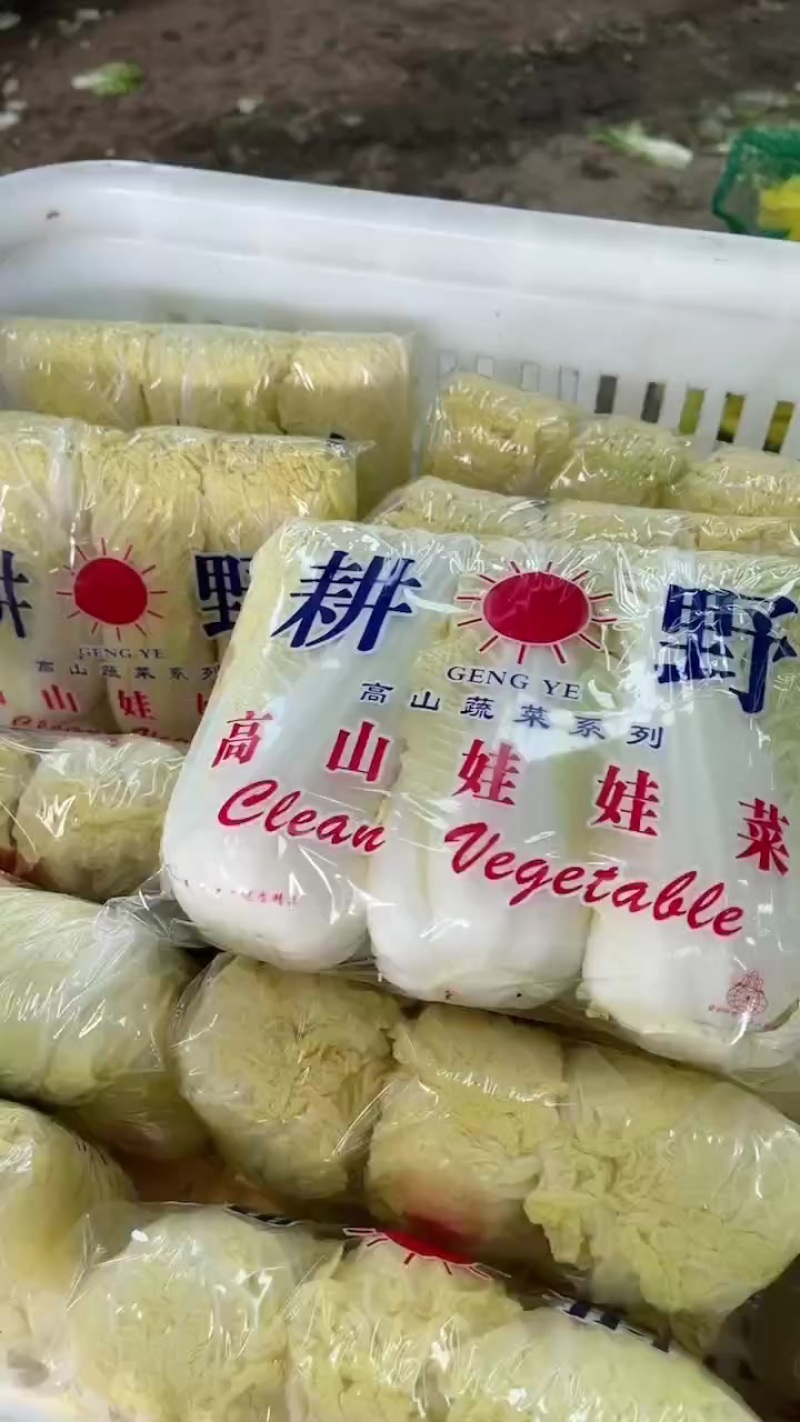 精品娃娃菜