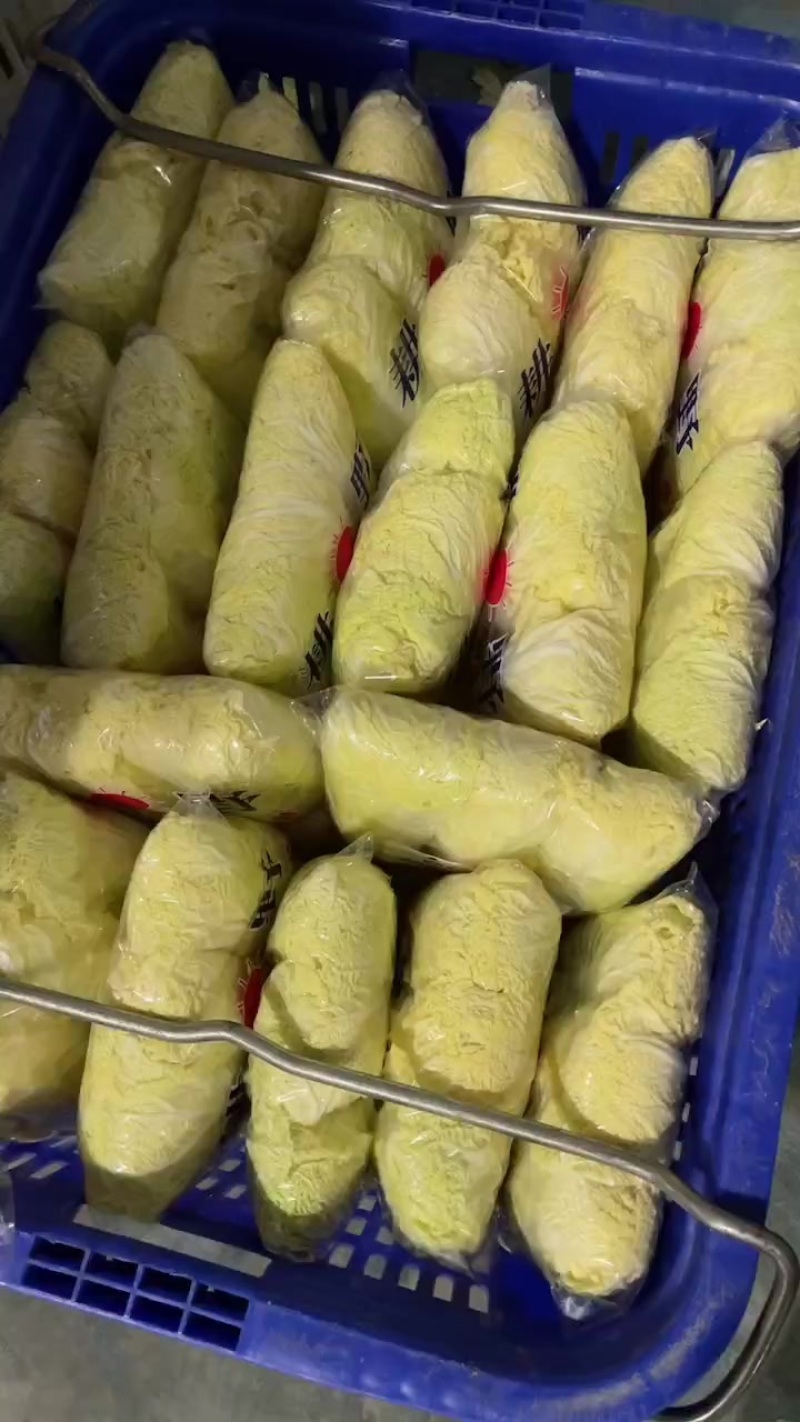 精品娃娃菜