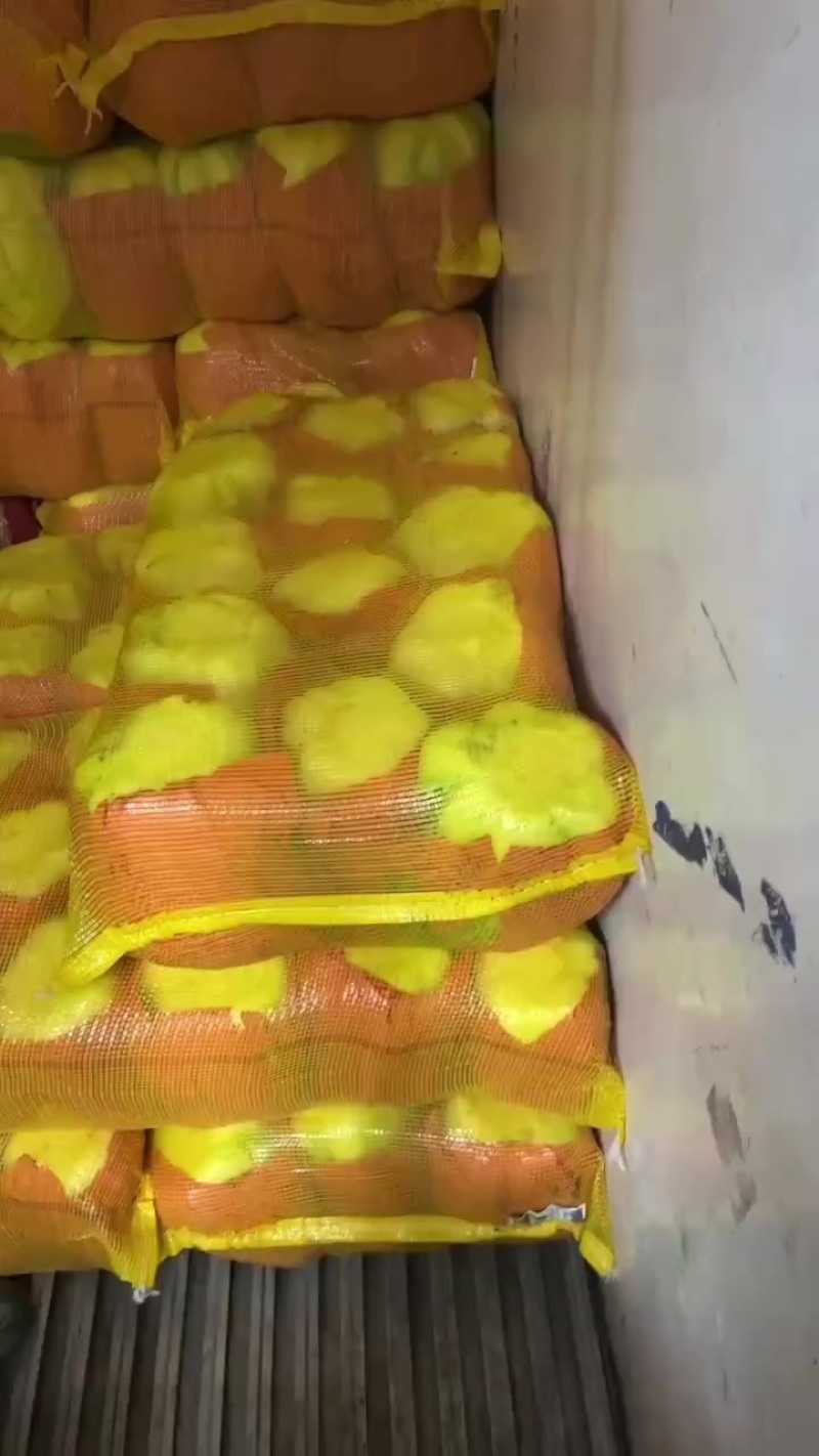 黄心菜