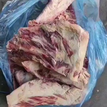 132厂牛胸骨到货