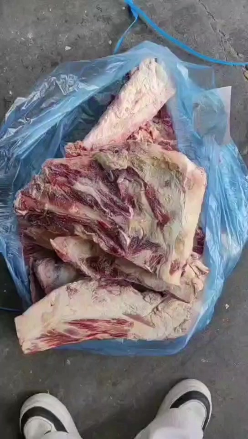 132厂牛胸骨到货