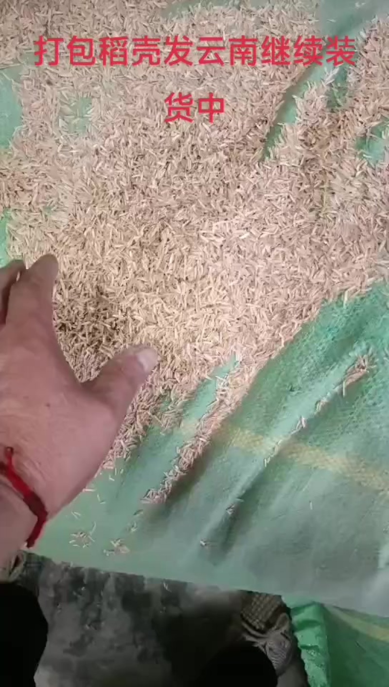 打包稻壳发云南继续装货中