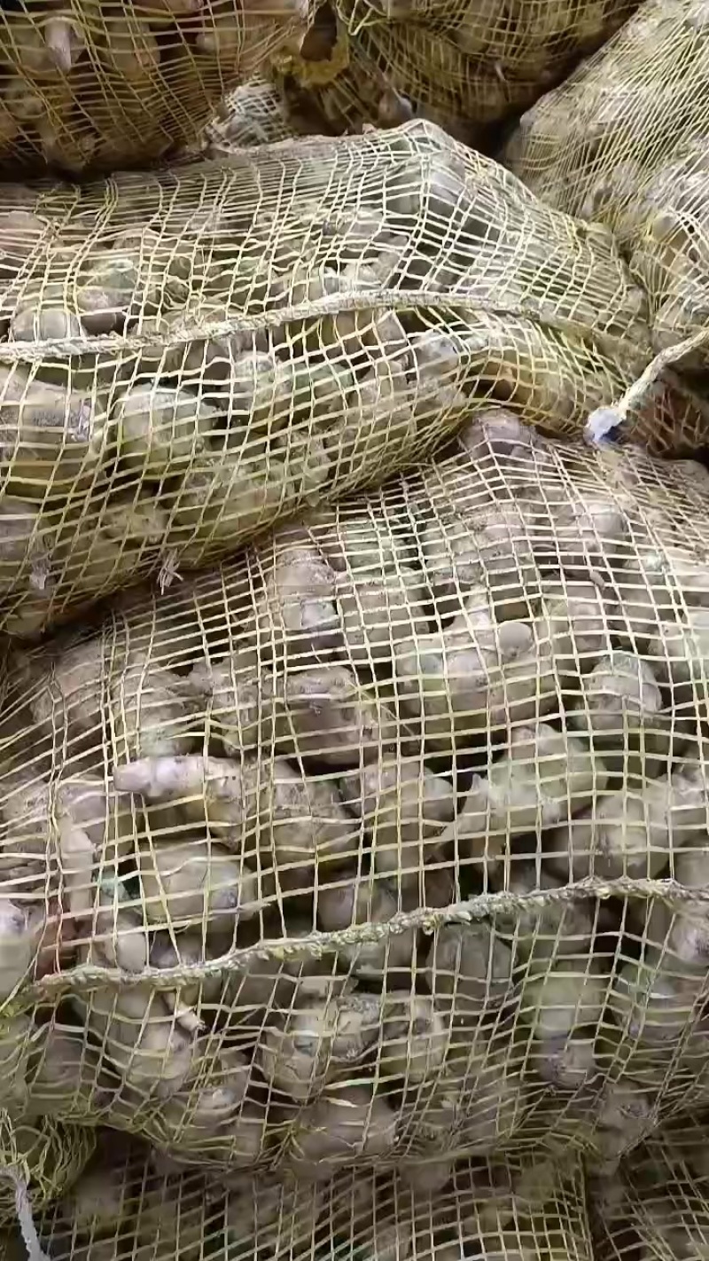 鬼子姜，洋姜大量上市中，有有需要老板联系我哦，