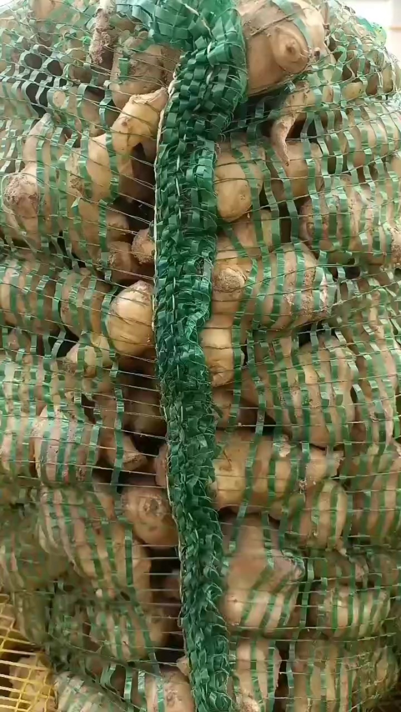 鬼子姜，洋姜大量上市中，有有需要老板联系我哦，