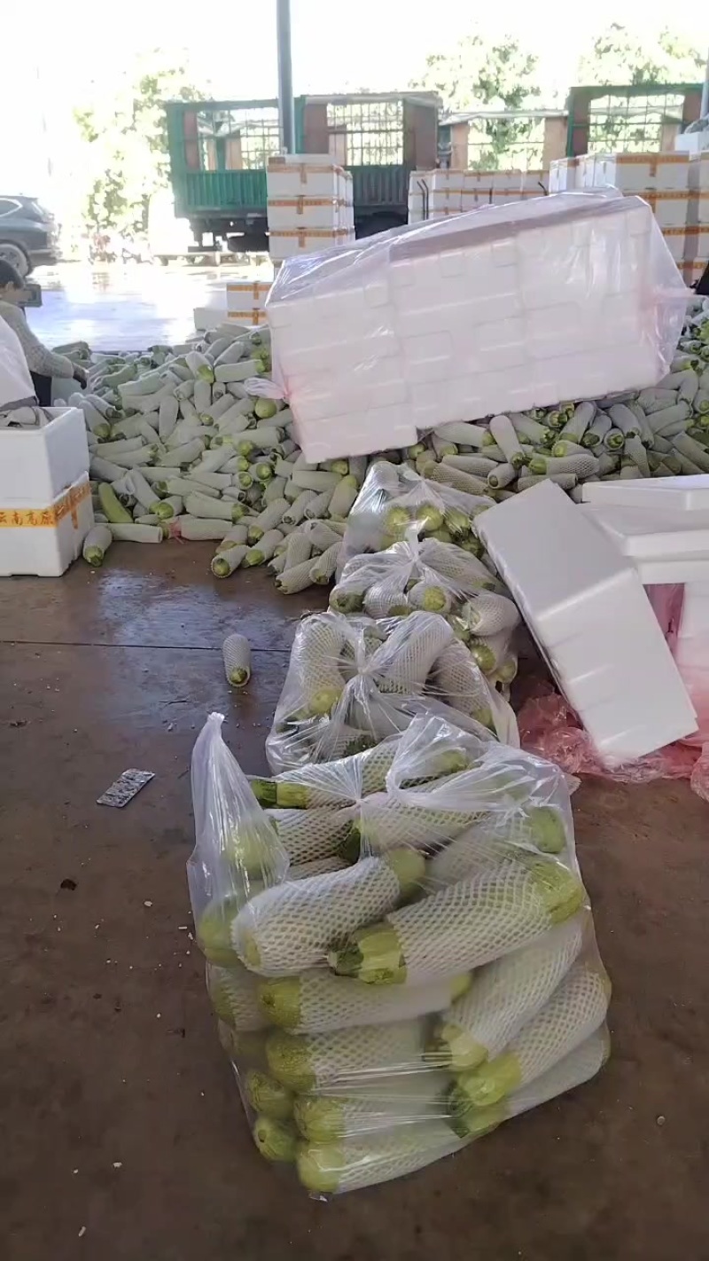 电商货，食堂货