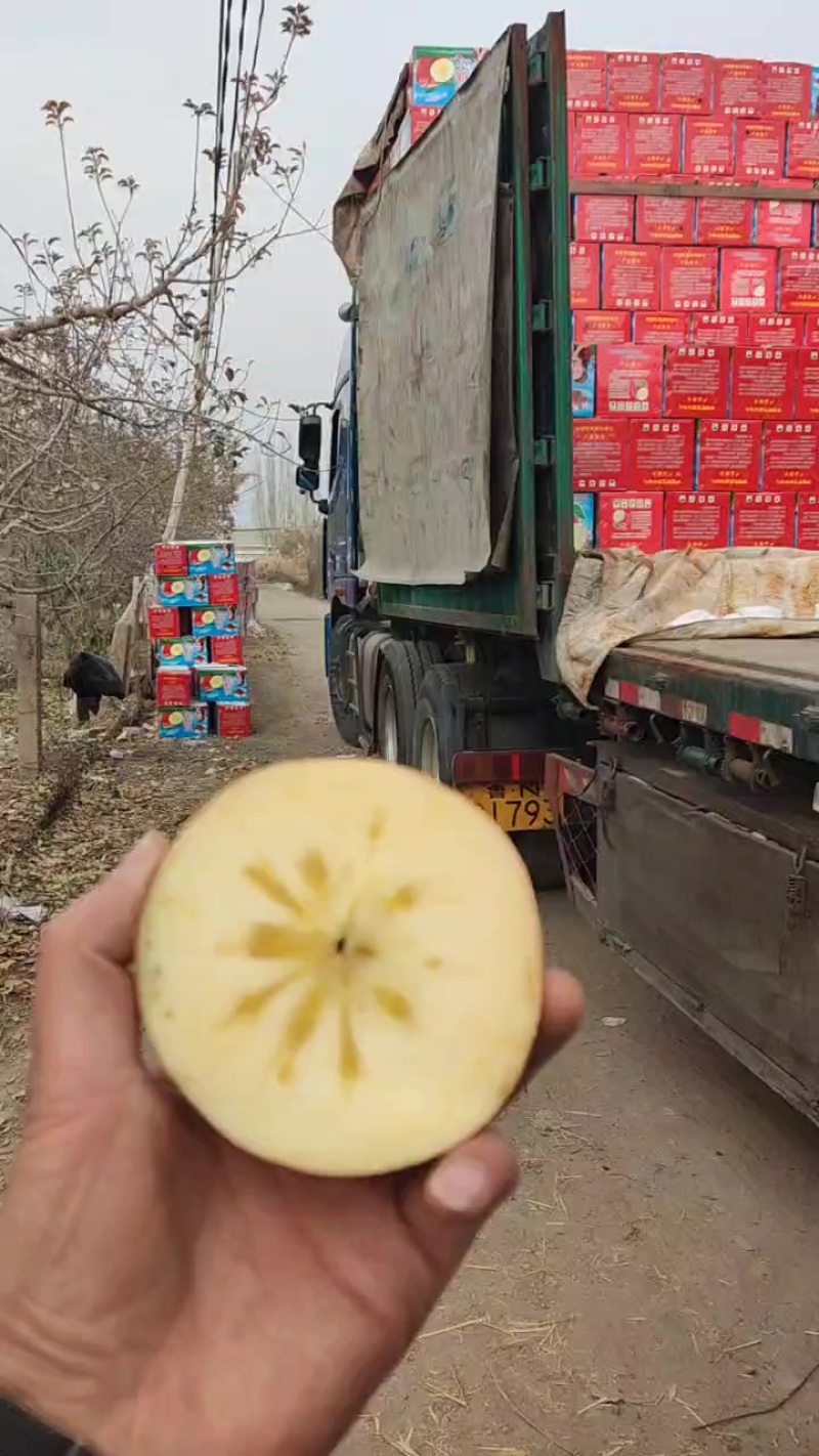 阿克苏冰糖心苹果，高次果，每一颗都有满满的冰糖心！