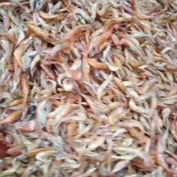 烘烤河虾，十成干质量好