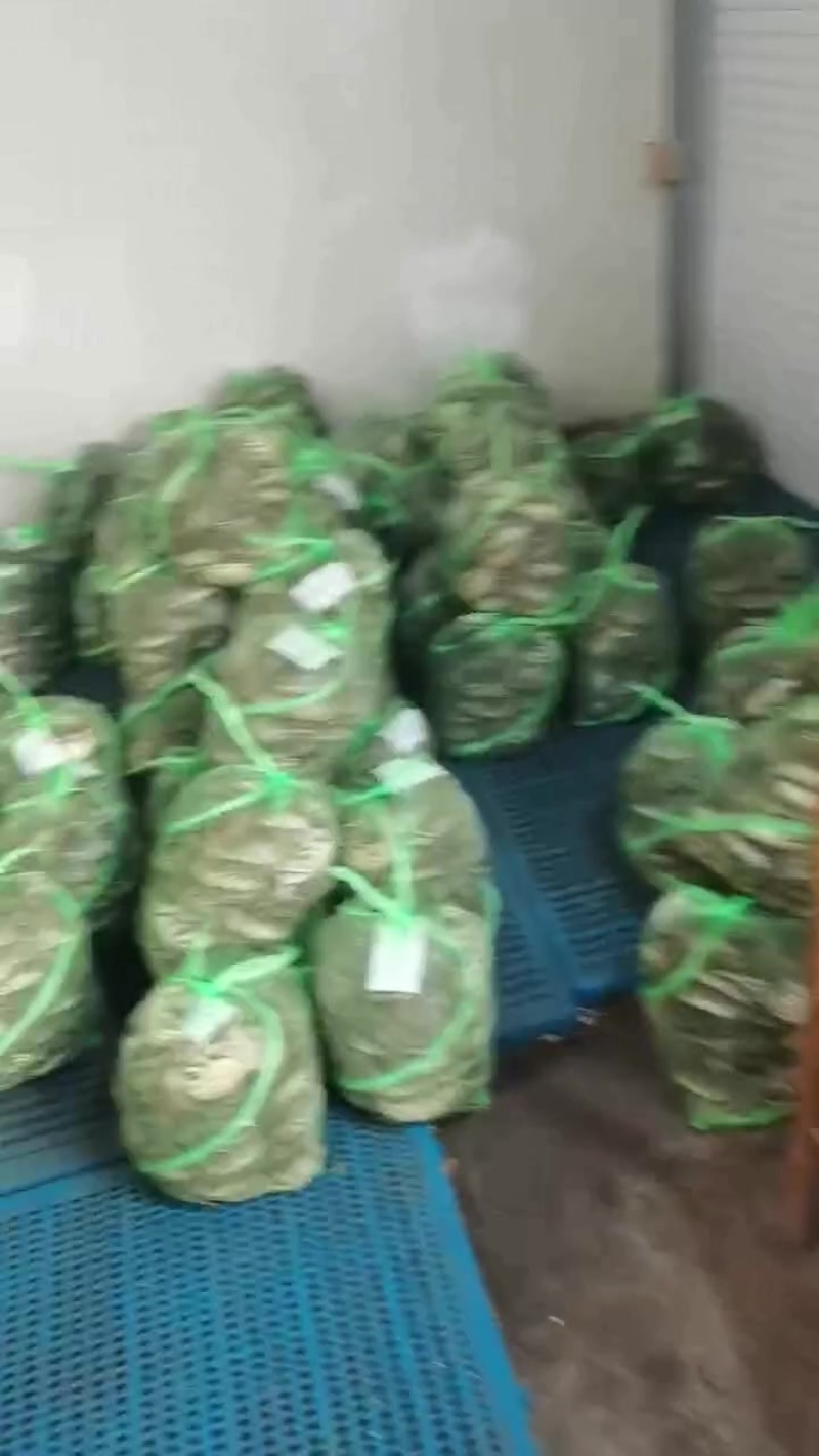 大闸蟹批发