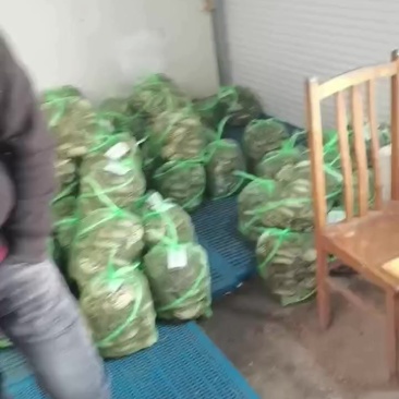大闸蟹批发