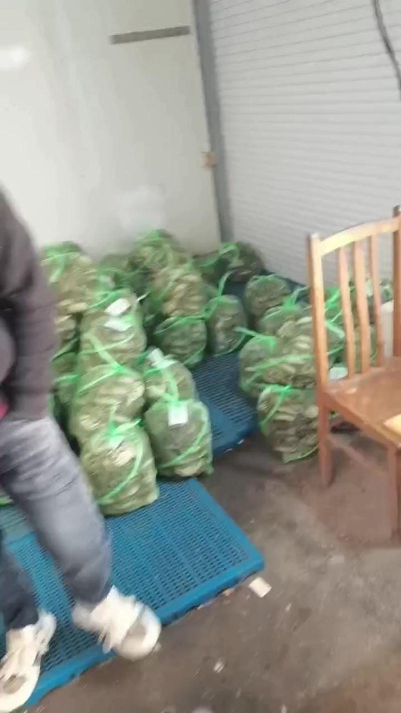 大闸蟹批发