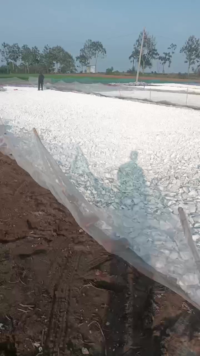 纯红薯淀粉