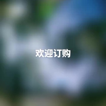 益阳安化梅城家庭自养兔子