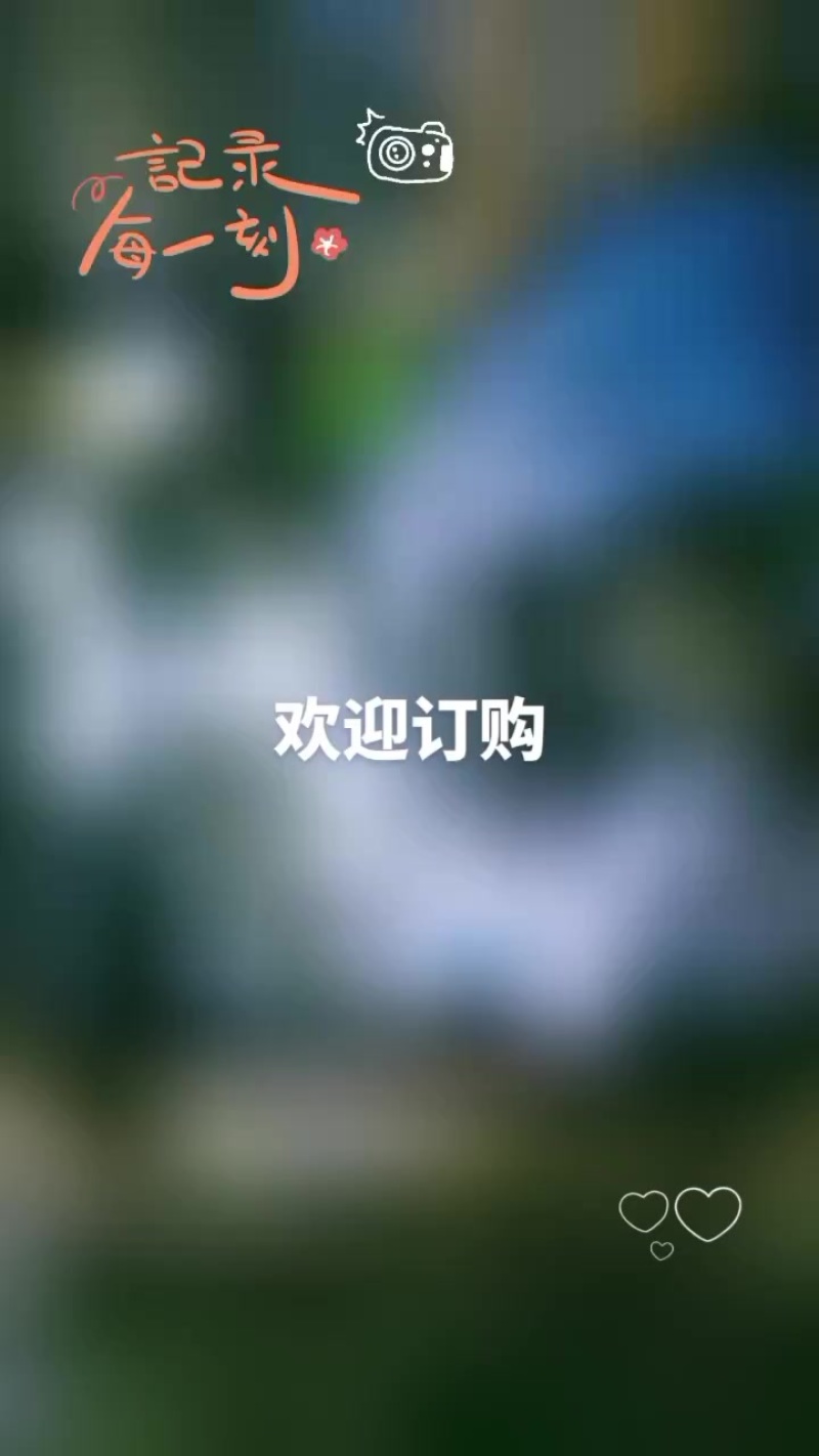 益阳安化梅城家庭自养兔子