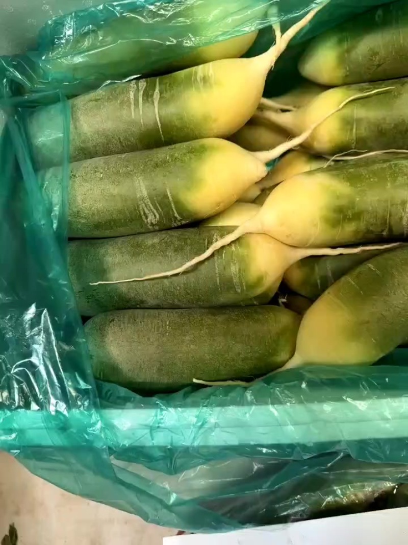水果萝卜