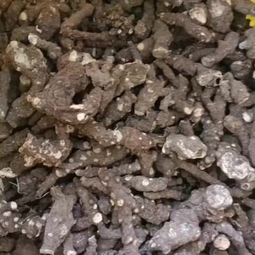 藤三七，中药材，四川干货质量保证，干度保值