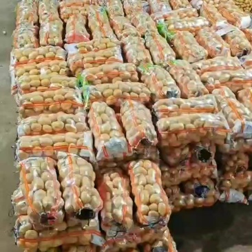 土豆