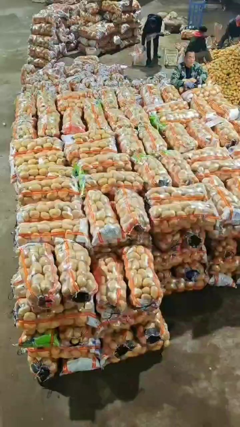 土豆