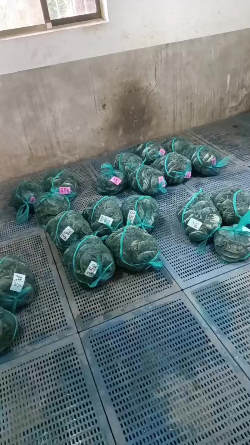 精品大闸蟹