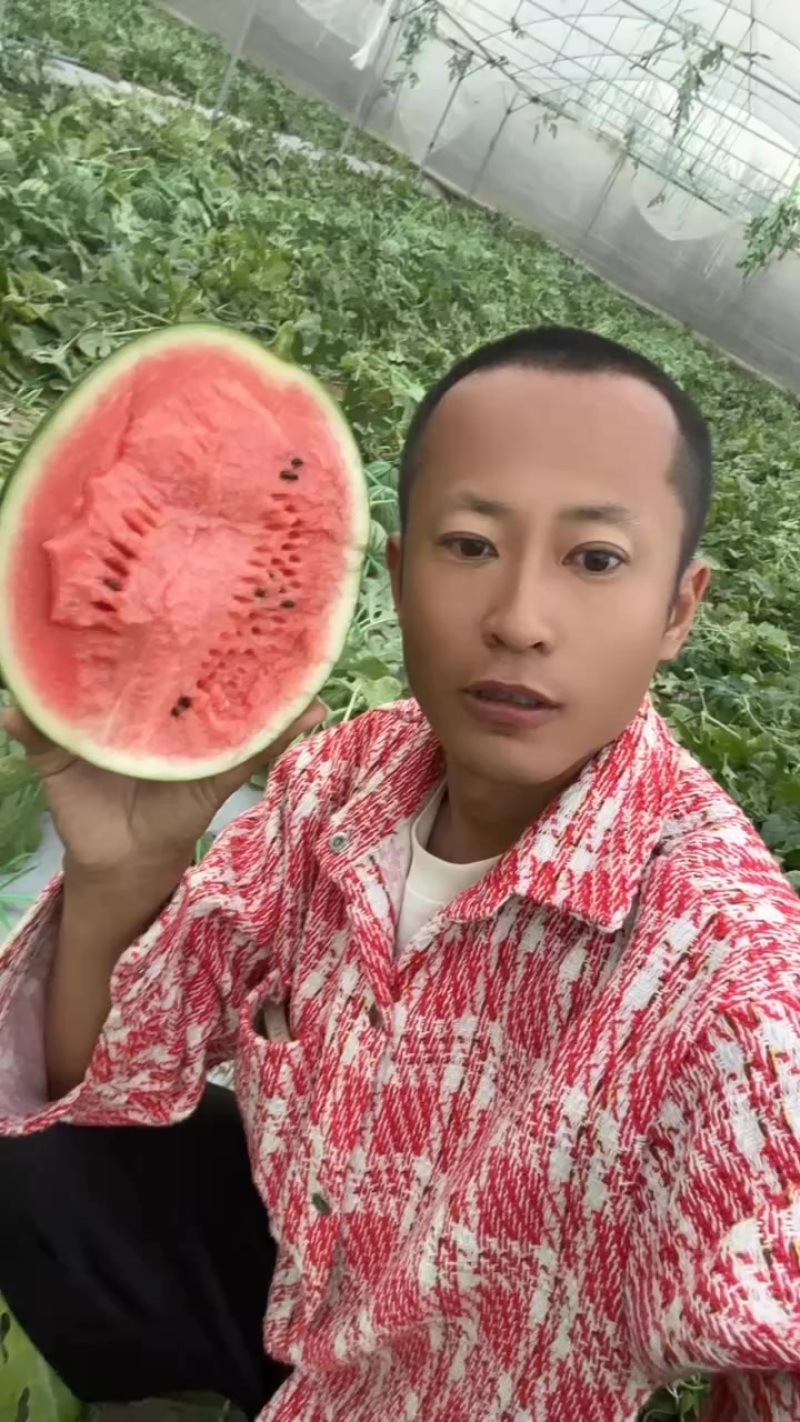 脆苓吊瓜