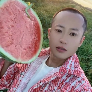 无籽西瓜