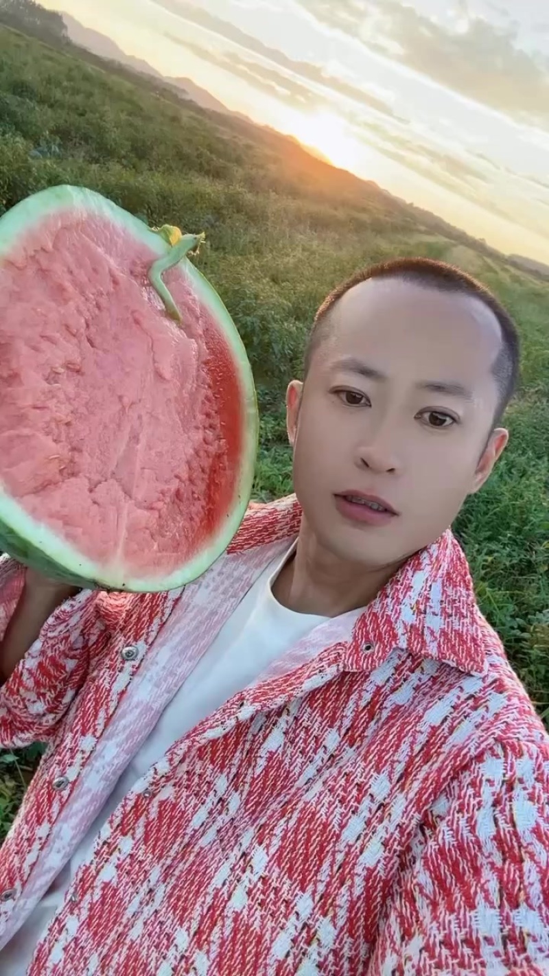 无籽西瓜